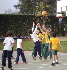 Basket