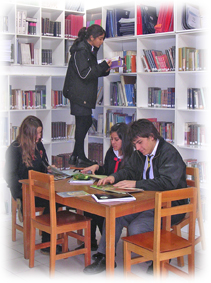biblioteca