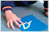 Formación del Colegio