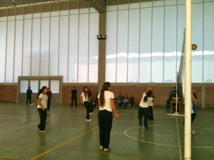 voley