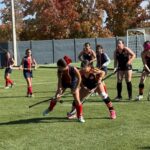 Selección (13)
