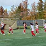 Selección (6)