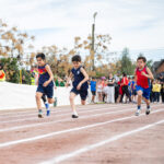 NZ8_5828